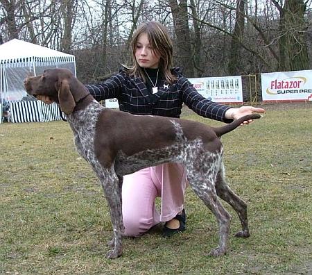 handling (58).jpg
